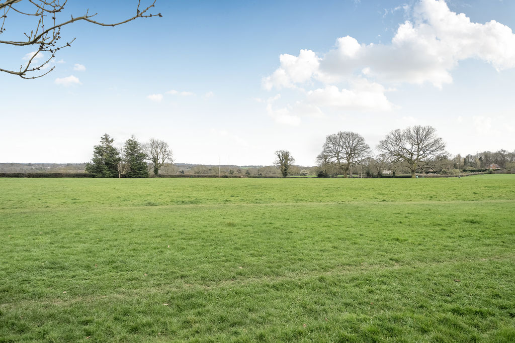 Fields- click for photo gallery